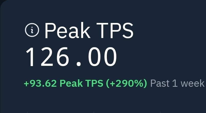 cairo, where speed meets integrity.