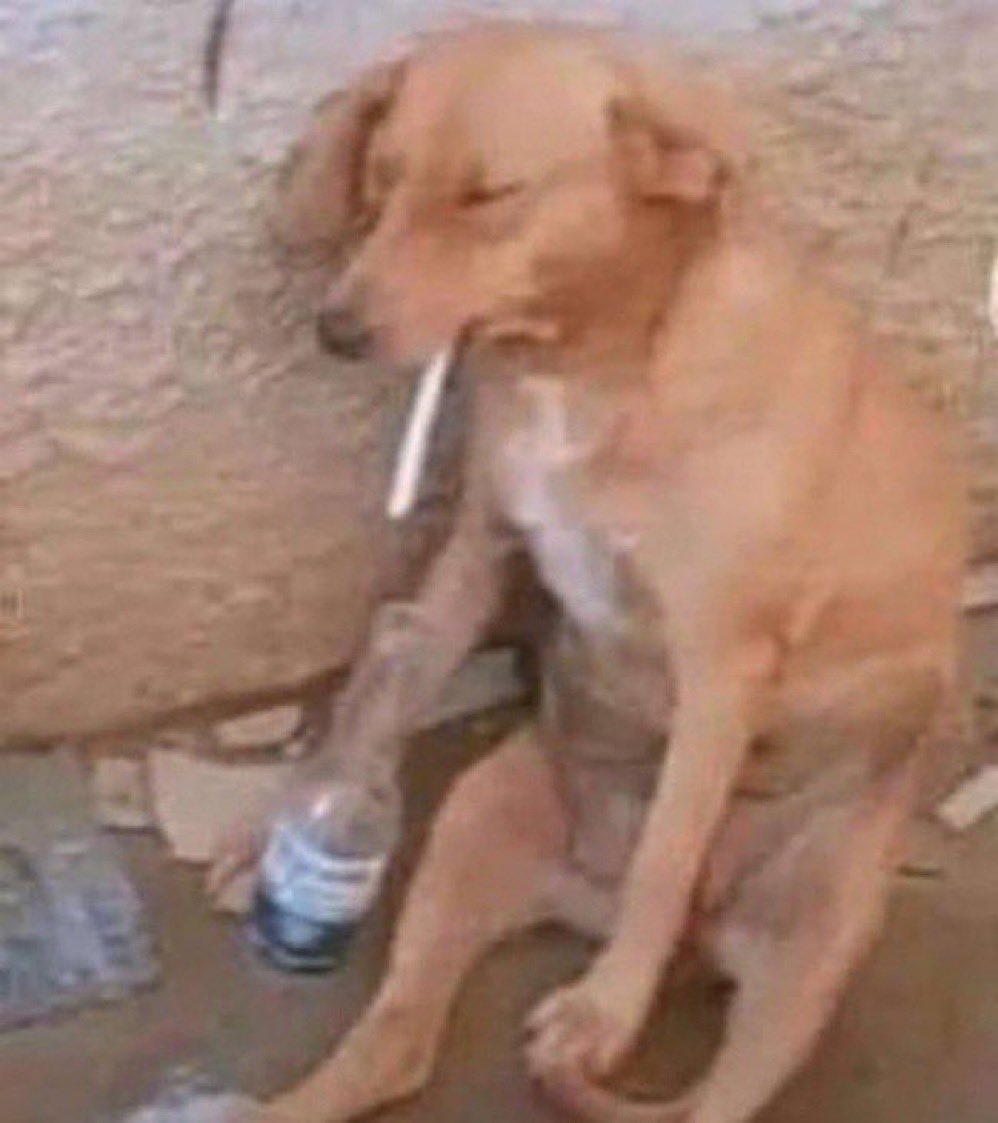 _D33licious_'s tweet photo. Didn’t get Lana del rey tickets. Nobody talk to me for the rest of the day https://t.co/DVhJNp7kzU