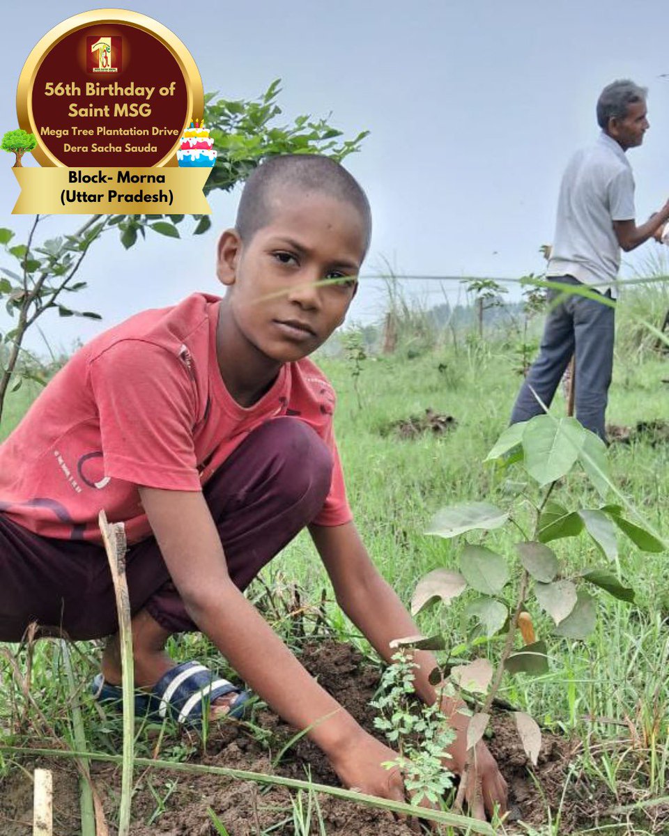 DSSNewsUpdates's tweet image. No better way to celebrate special events than making the planet smile! Dera Sacha Sauda volunteers mark Saint Dr. Gurmeet Ram Rahim Singh Ji Insan's 56th birthday with tree plantation.  #56thBirthday #MSGBhandara #SaintDrMSG #DeraSachaSauda #TreePlantation