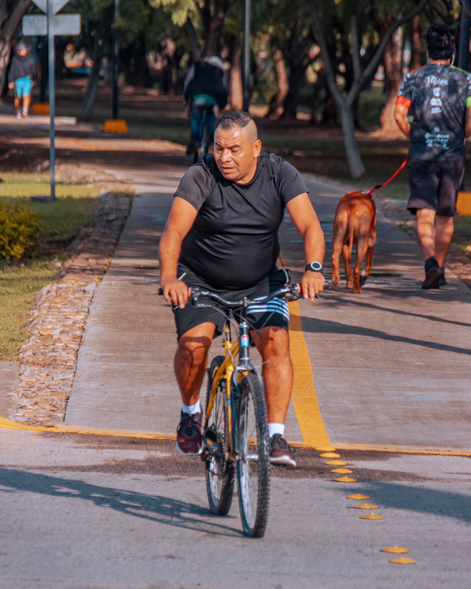 bicitografo's tweet photo. Sin palabras, las bicicletas #rifan
🟢Sin pretextos, dale #hoy a la bicicleta
🟢Puntos para la #bicicleta
#bicitógrafo #bicicletta #velo #labicicleta #enbici #bicicletando_fotos #canon #photoshop https://t.co/DGbnkdFraN