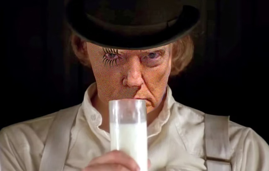 JedSmed's tweet photo. Hi hi hi my little droogies! #ATrumpworkOrange https://t.co/Tn6ZJI7jMT