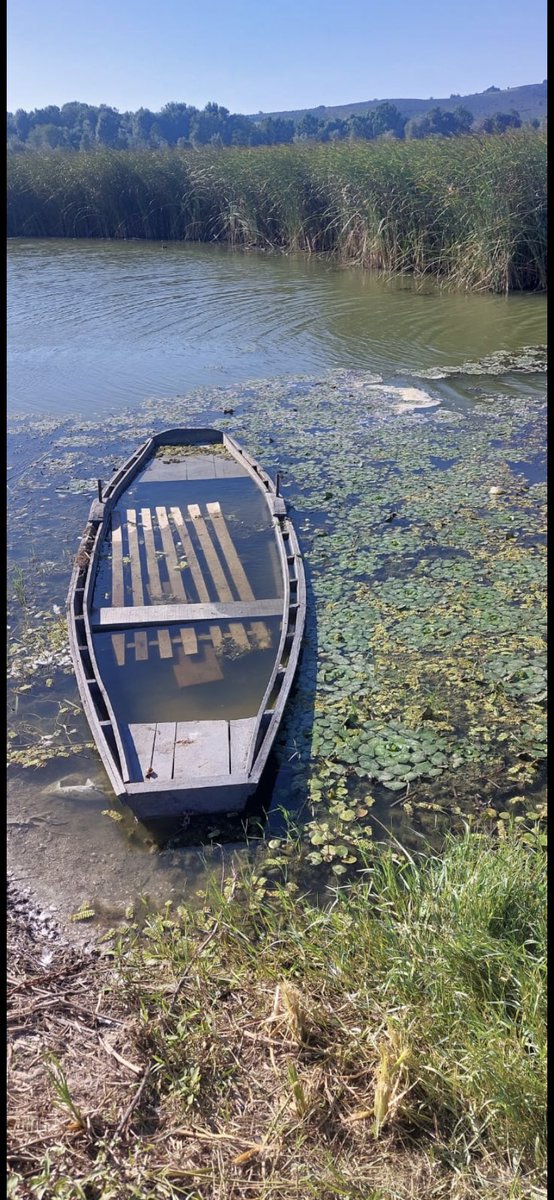 Problem, vaktinin olduğunu düşünmendir. 

#nature #life #pictures #music 
Buddha