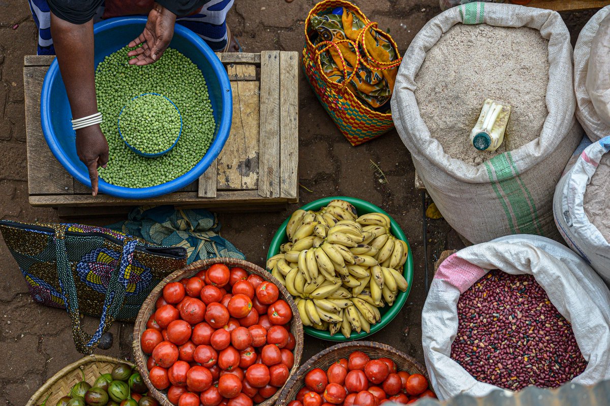 facilitatetrade's tweet image. Did you know that 1/5 of Rwanda's population faces food insecurity?🌾

We are proud to have joined with @IEuniversity  to research how #tradefacilitation can help advance #foodsecurity in vulnerable countries. 

Thank you for this milestone!
#Partnerships4Purpose