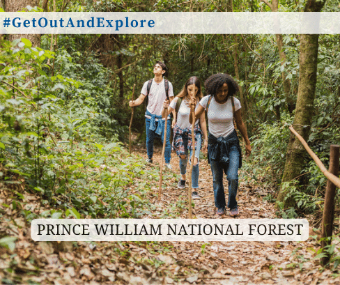 Get Out and Explore

The summer is a great time to go outside and enjoy nature. What better way to do that than to head out to Prince William National Forest in Triangle, VA? This forest is open throughout all four seasons (Hours vary depending on season). There are many...