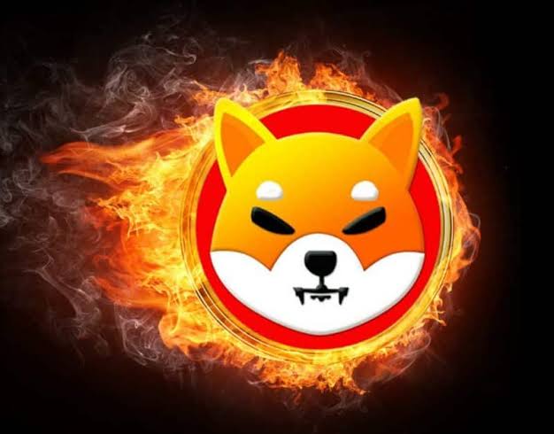 FABIOSENSHI's tweet photo. What is the burning potential of Shiba Inu, with a perfectly functioning Shibarium? https://t.co/pUnGnBBIJx