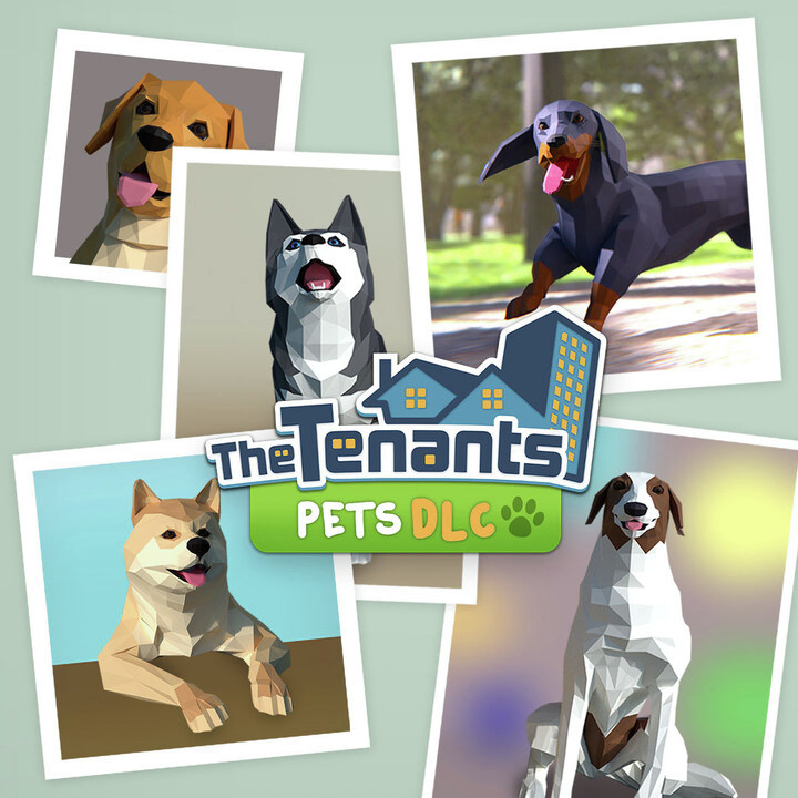 The Tenants tweet media