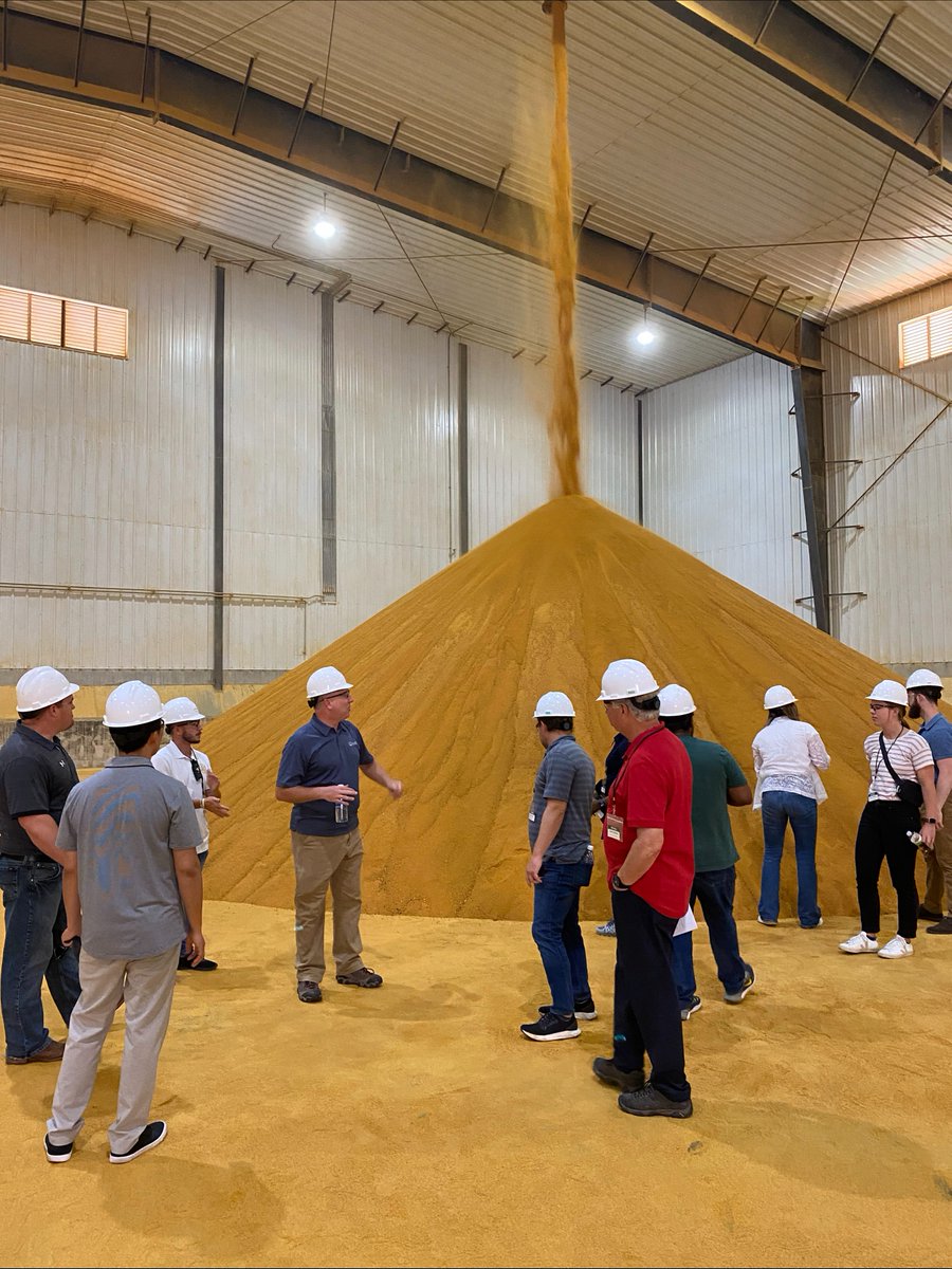 INCornFarmers's tweet image. Last week we sponsored the annual biofuels science &amp;amp; sustainability tour. This farm-to-pump tour brings congressional &amp;amp; administration staff together to see the importance of biofuels. Learn more about biofuels at: bit.ly/3OL25OK #CornCheckoff