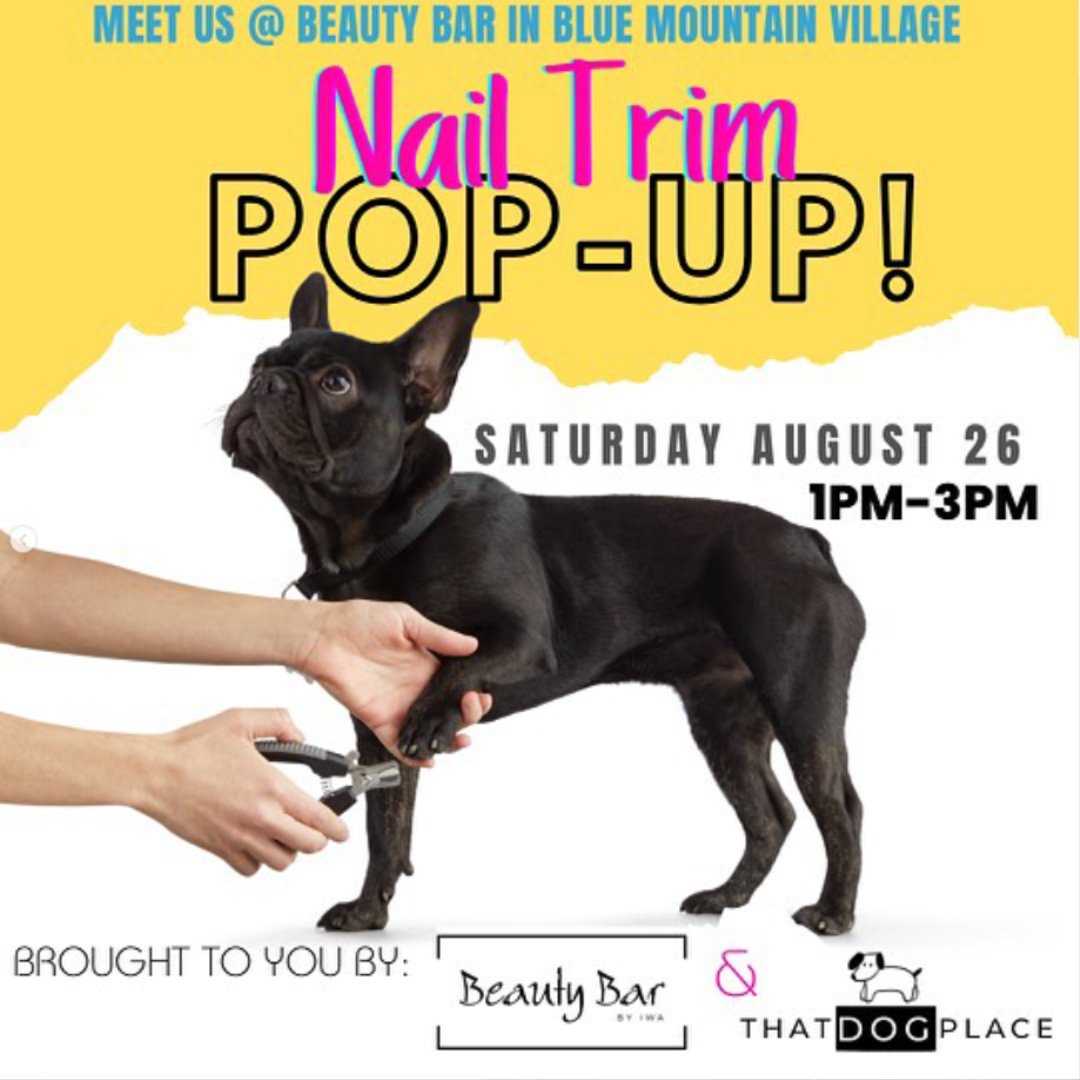 Pups need nail care too! In celebration of @NationalDogDay on Saturday, August 26th, Beauty Bar has partnered with That DOG Place to offer a Nail Trim 'Pup-Up' 🐾 From 1-3pm, trims are available on the paw-tio, with proceeds donated to the GT Humane Society! #BlueMtnVillage