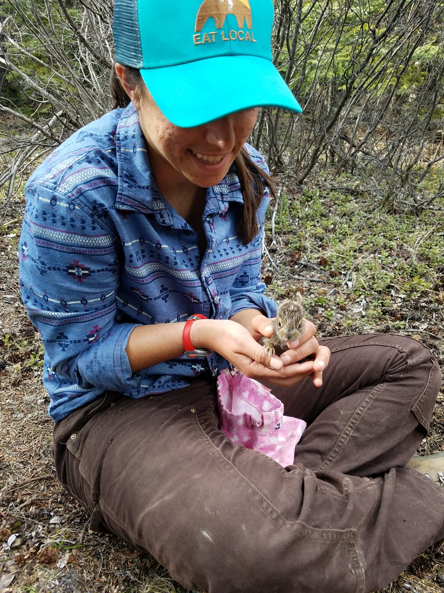 Animal Behavior Society tweet media