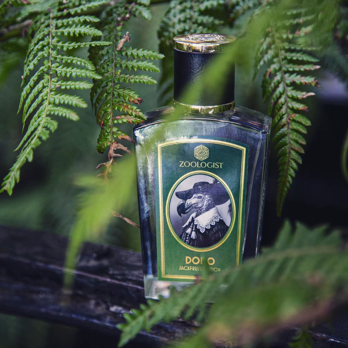 Just in: Zoologist's Dodo (Jackfruit Edition), breath in the lush island paradise.
#rareperfume #attar #perfume
Top notes: bergamot, jackfruit, pink pepper, turmeric leaf
Heart notes: ger... #bloomperfumery
instagram.com/p/CwX7JeNI3qS/