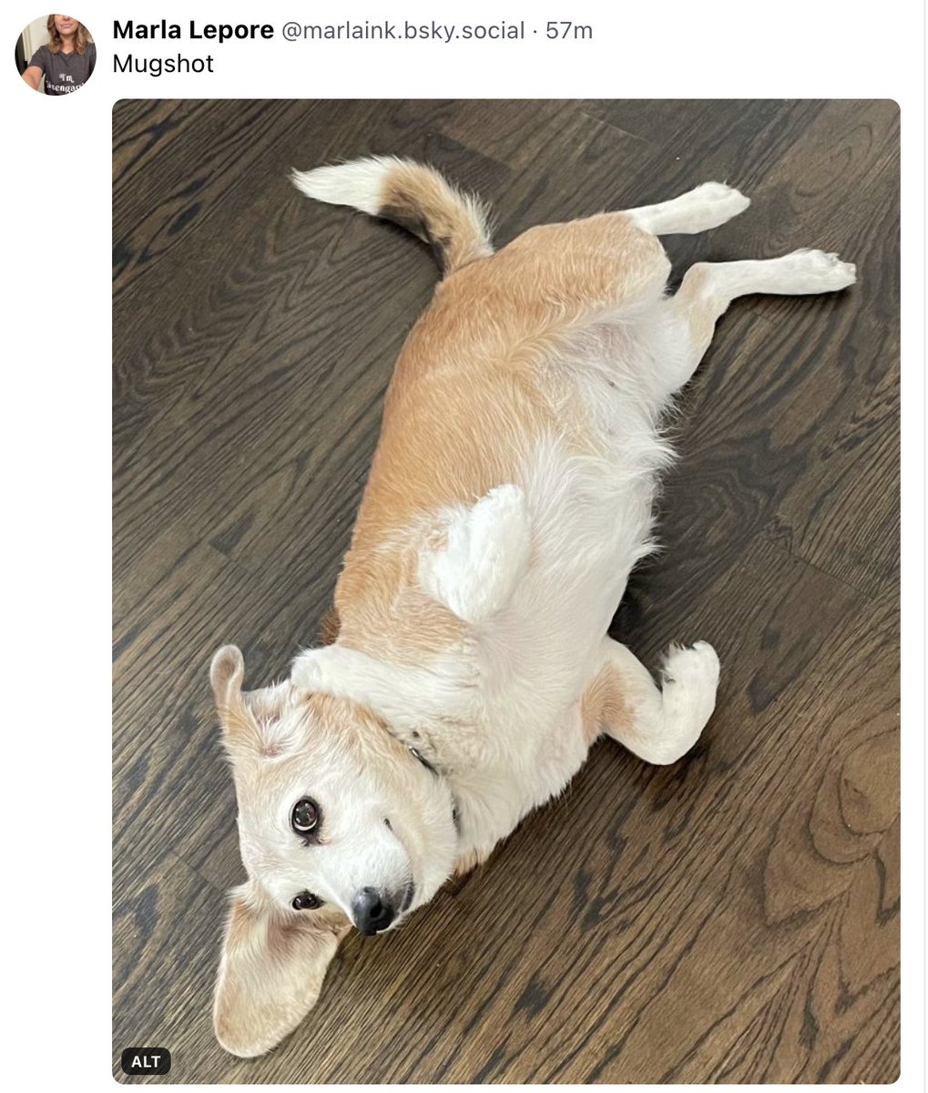 Hair: strawberry 
Weight: how dare you