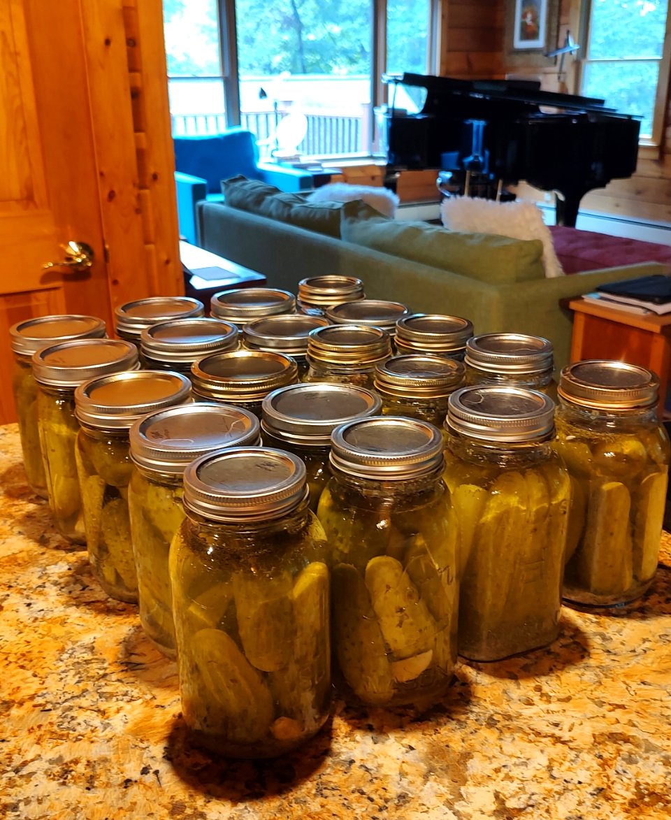 Obligatory canning photo. Dill pickles! #HomeCanning