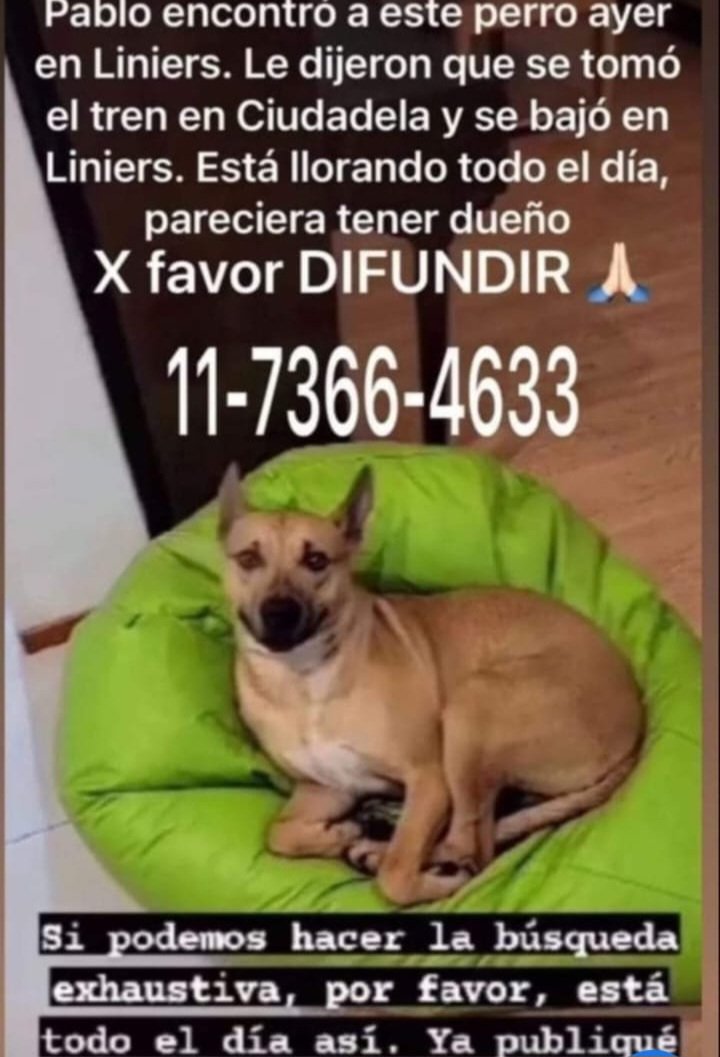 #difundimos