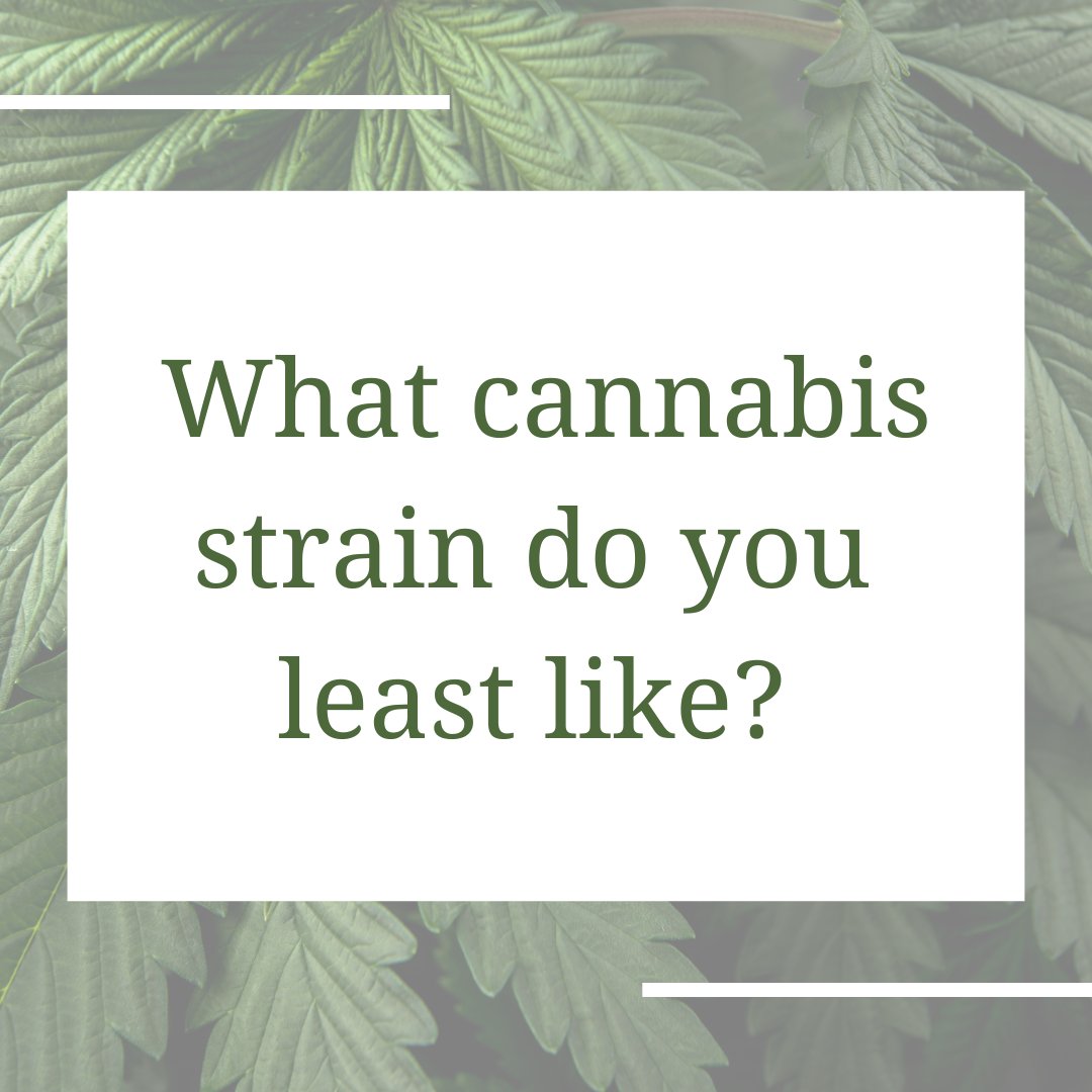 Cannabis Training University tweet media