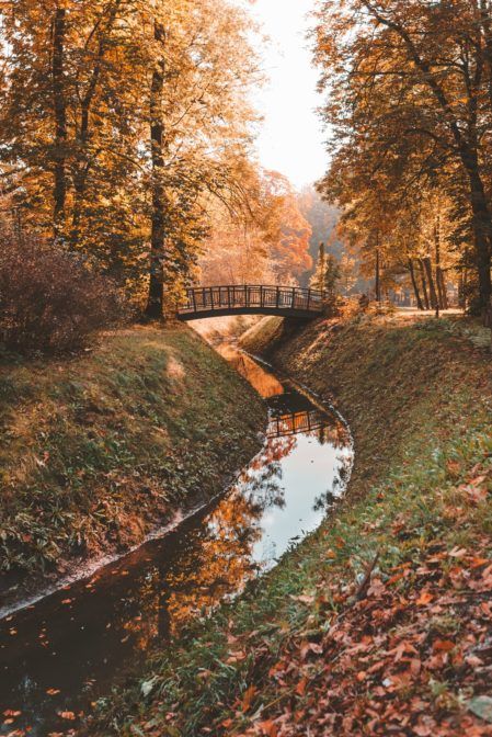 🍂🍃🍁Autumn in Gliwice, Poland
@Architectolder 
#autumn #nature #autumnvibrancy #photography #naturephotography #fall #Gliwis #Poland #naturelover #blogger #autumnstyle #orange #yellow #green #bridge #river #Europe #travel #travelblogger #forest