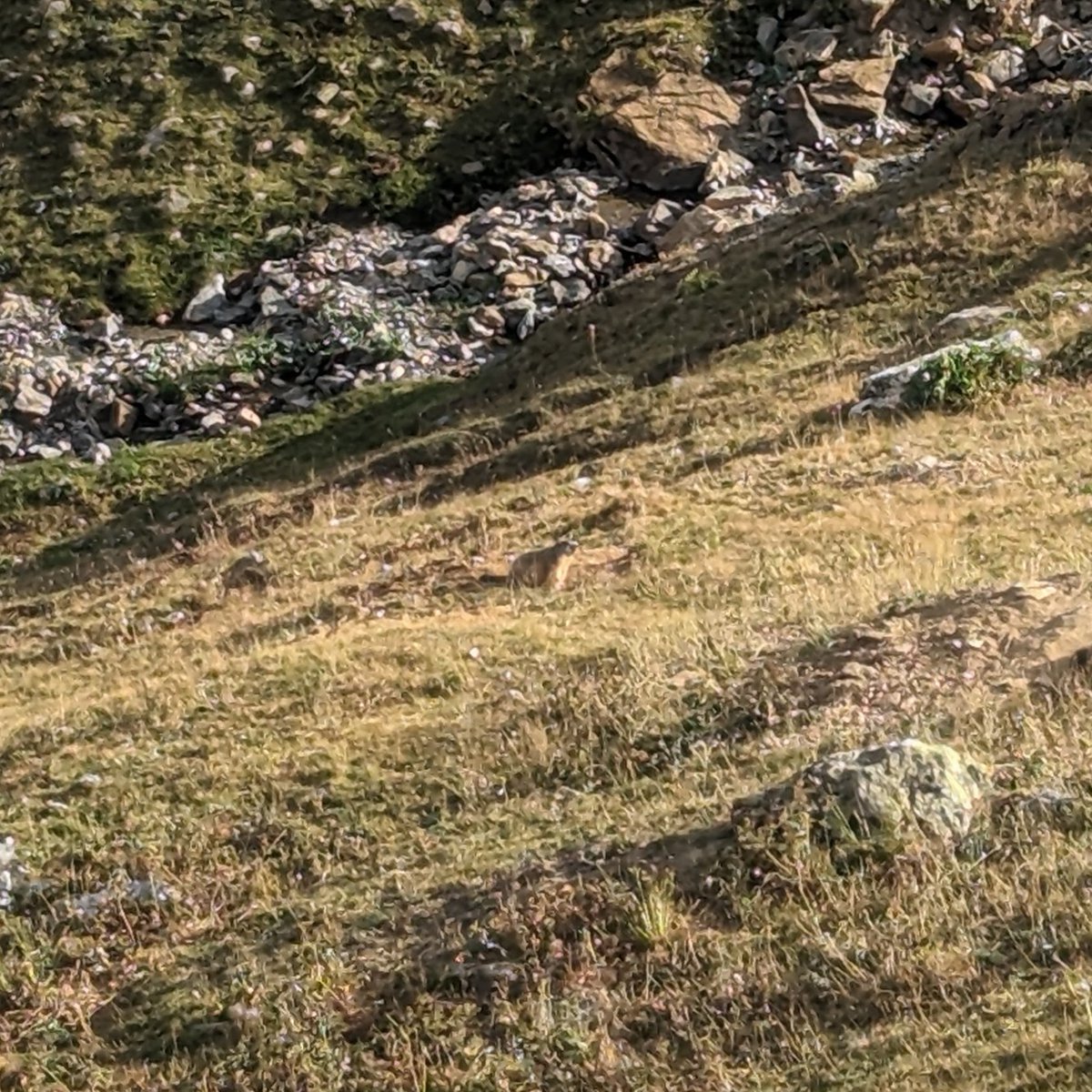 #ColDuGalibier #Marmotte