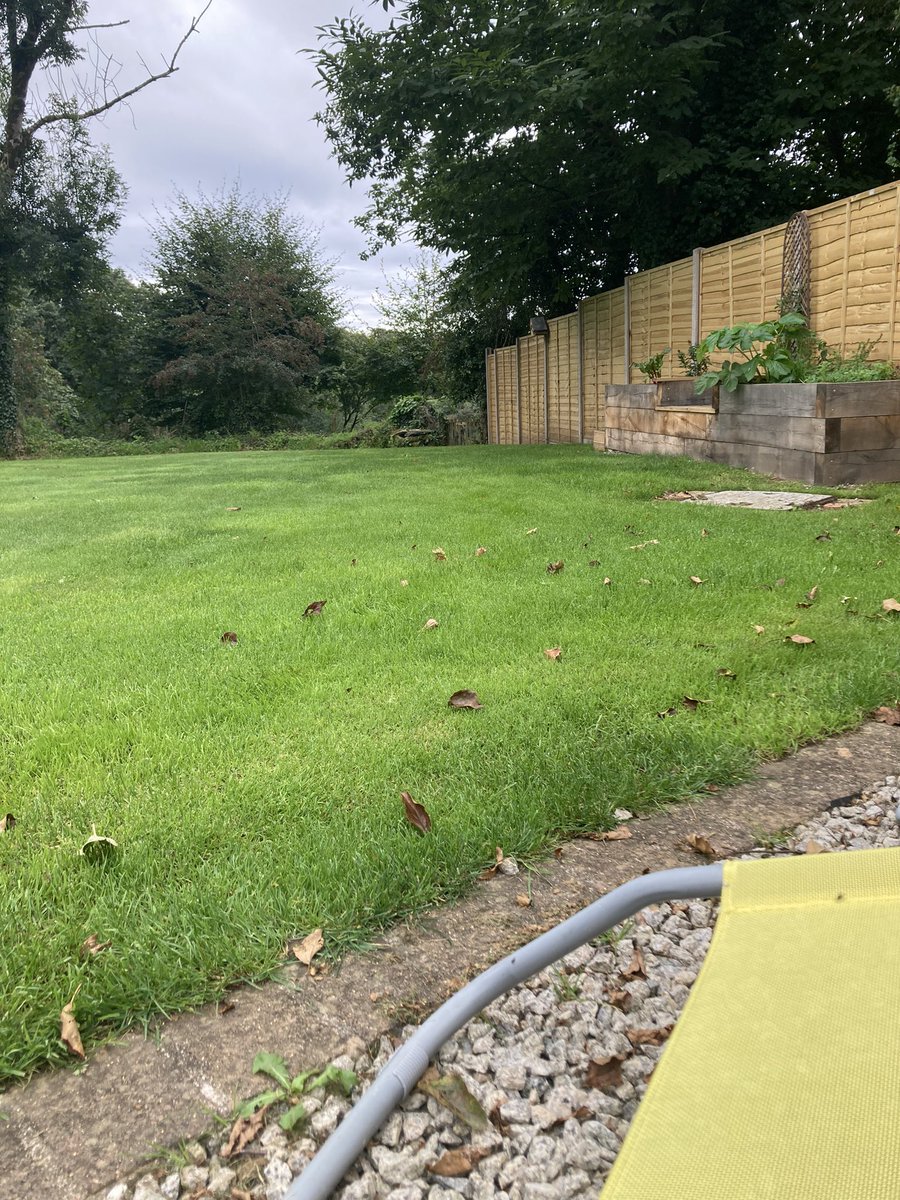 BlaiseCottage's tweet photo. Grass is finally looking lush again 😬👏🧑‍🌾🍀🌱🌝🌦️🏡🖼️💚✅🟢🟩#blaisecottage #greenthumb #kernow #airbnbexperience #airbnbsuperhost🏆 #selfcateringaccommodation #garden #lawncare #grass #rurallife #5starreview #sun #rain #cornwall #outside #holidays #lawncare https://t.co/H1HNa03eAS