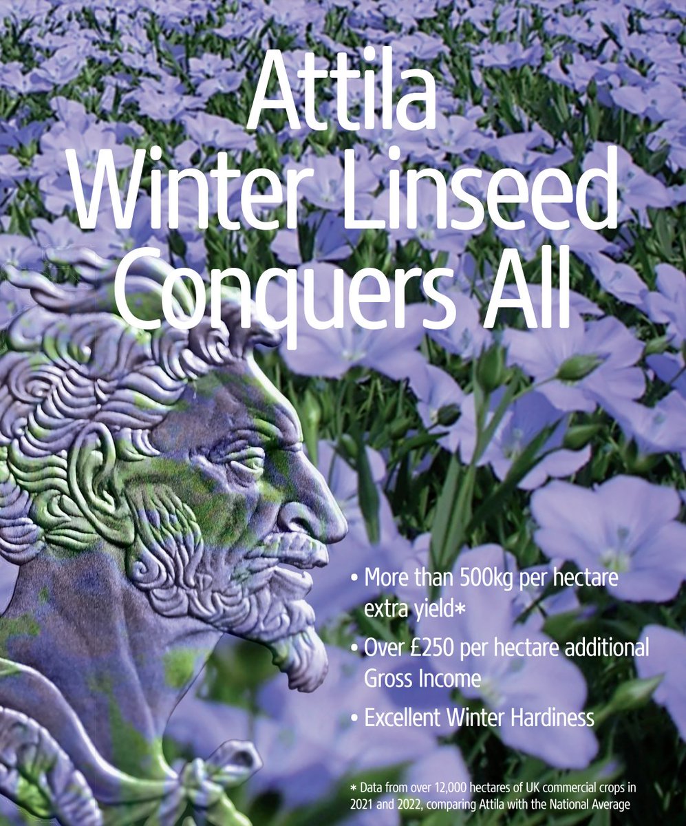 #Attila, the new groundbreaking WinterLinseed variety exclusive to Premium Crops.
Why grow #WinterLinseed with anyone else? #atillaseed #atillacrop