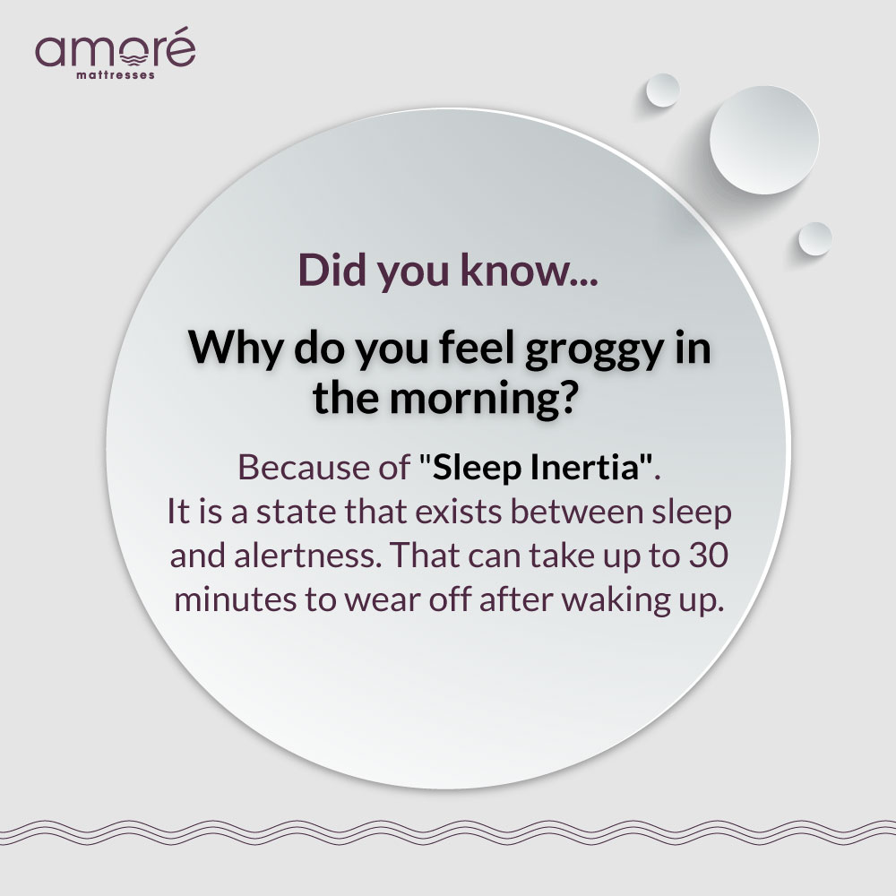 In sleep inertia, you may experience brief disorientation and decline in mood,  alertness and performance when you wake up from a deep sleep.

#SleepFacts #sleepinertia #drowsiness #disorientation #Sleep #Amore #mattress #sleephealthy #AmoreMattress #orthopedicmattress #groggy