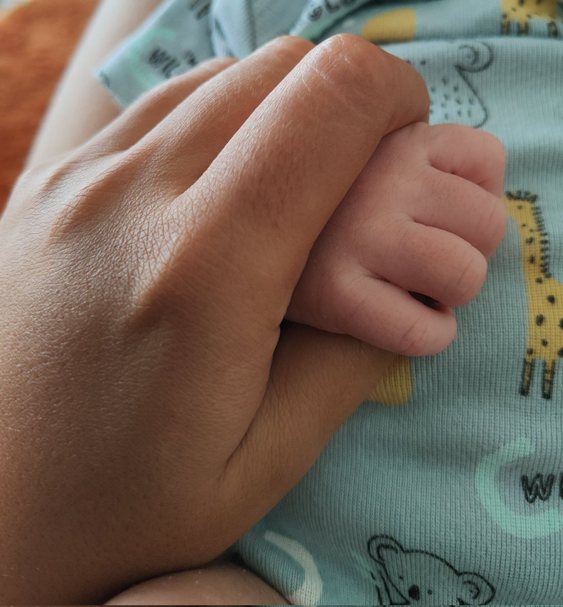 Sara Cordeiro 🇪🇺 🇵🇹 tweet media