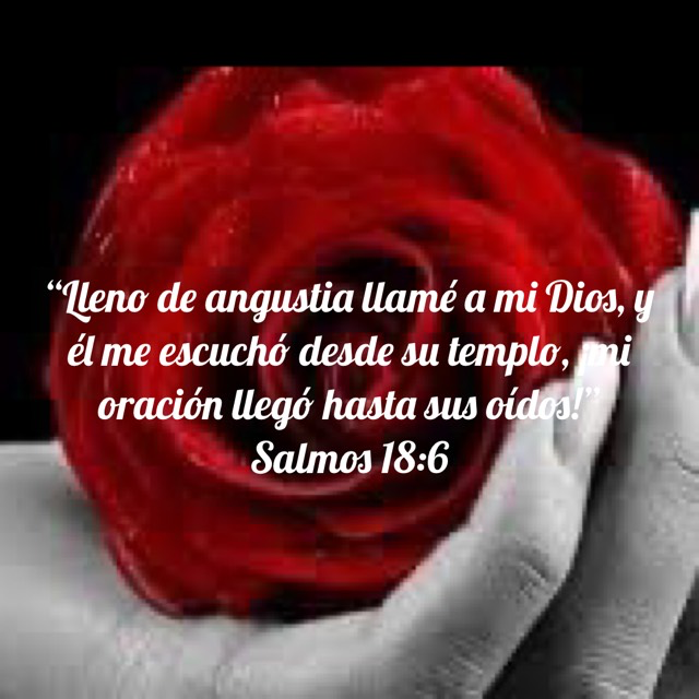 OmanaIvan's tweet photo. Este versículos nos proporciona la seguridad de que en los momentos más angustiosos de la vida podemos clamar al Señor y Él nos escucha. Ninguna súplica hecha con fe será desatendida por nuestro buen Dios. https://t.co/HFJWYjp6hM