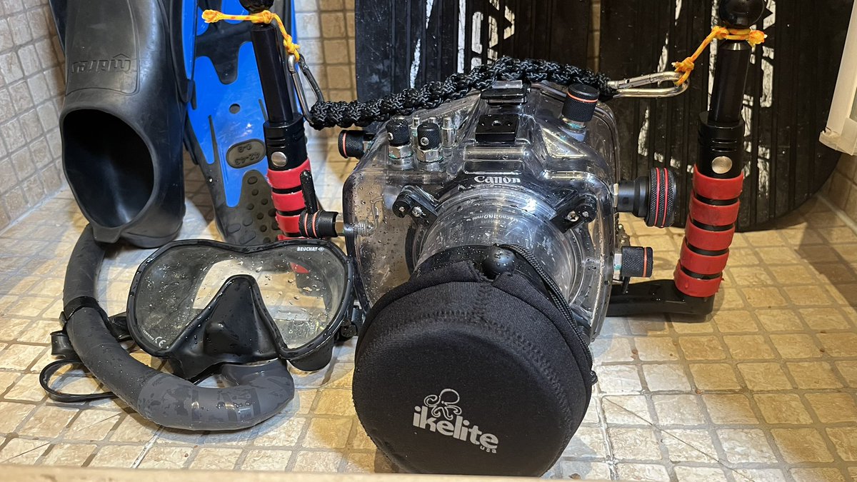 Día de test 2. Mañana veremos si hemos hecho bien los deberes.