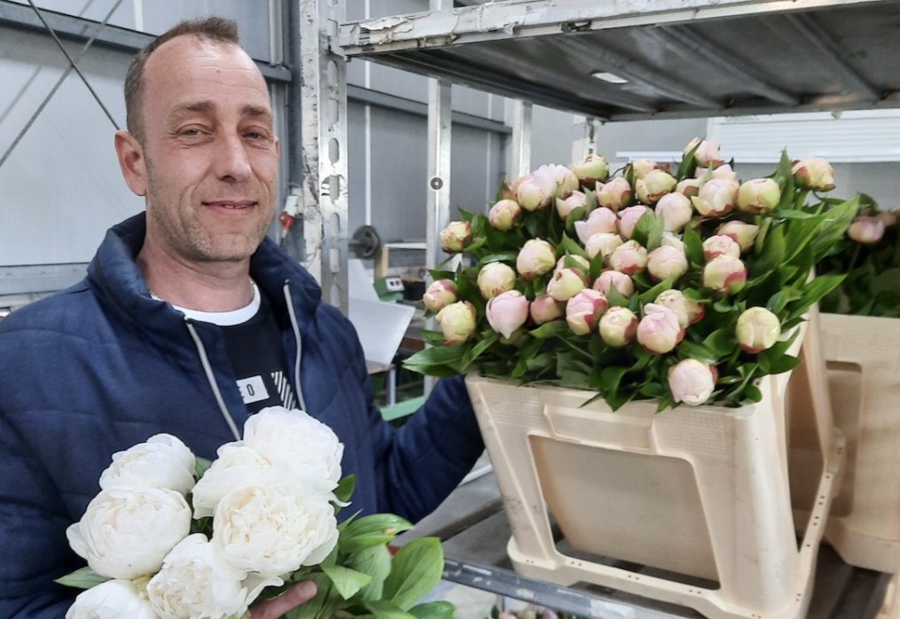 De prijsvorming in de zomerperiode verloopt de laatste jaren steeds beter, wat volgens veilingmeester Paul Freriks te maken heeft met de groeiende vraag naar diversiteit. Lees verder in zijn column: royalfloraholland.com/nieuws-2023/we…