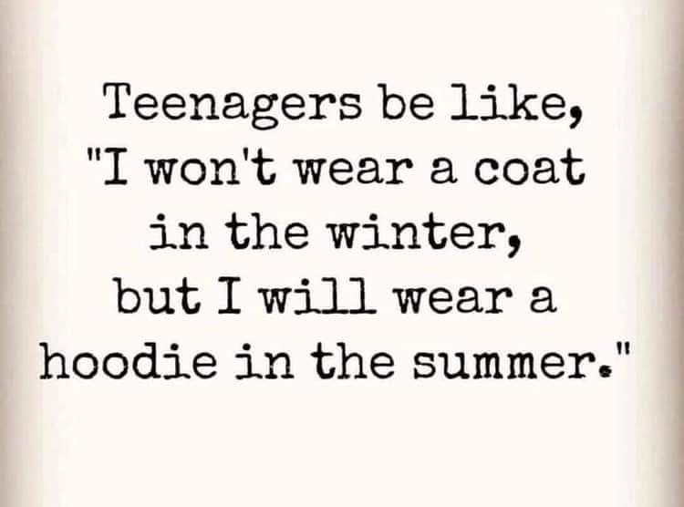 🏴⚒🫧 J O D I E 🫧⚒🏴 tweet media