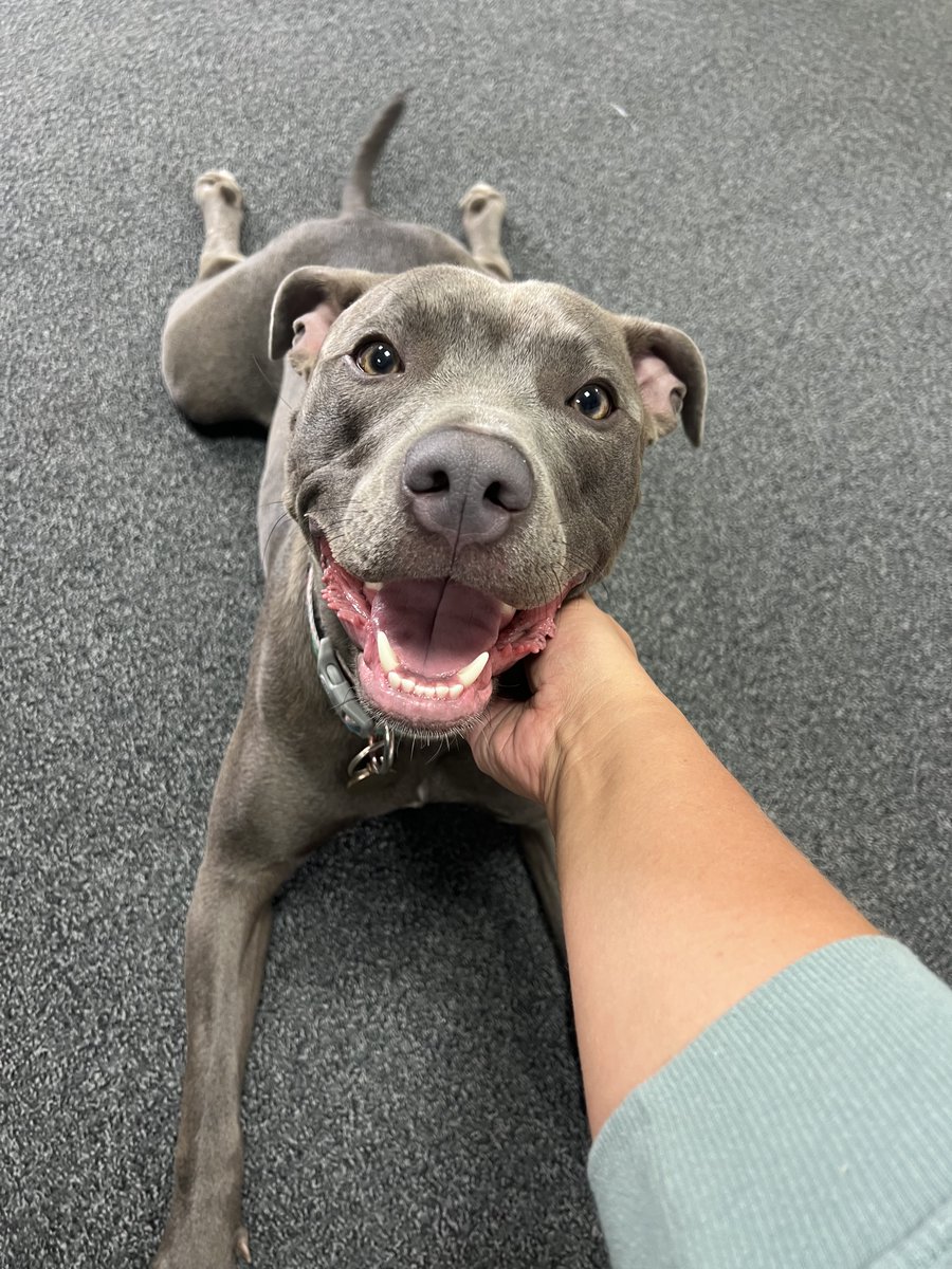 Citizen Communication Ltd tweet media