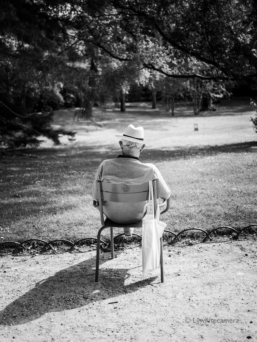 Lilwhitecamera's tweet photo. 📸 #LilPhotoFriday
Voici un instant de quiétude qu'il ne fallait pas déranger. Dans l'immense Jardin du Luxembourg le Monsieur au Chapeau s'était installé loin de tous pour lire. Je me suis approchée j'ai pris ma photo discrètement et je l'ai laissé dans le train de ses pensées💭 https://t.co/IVgm2eHCSM