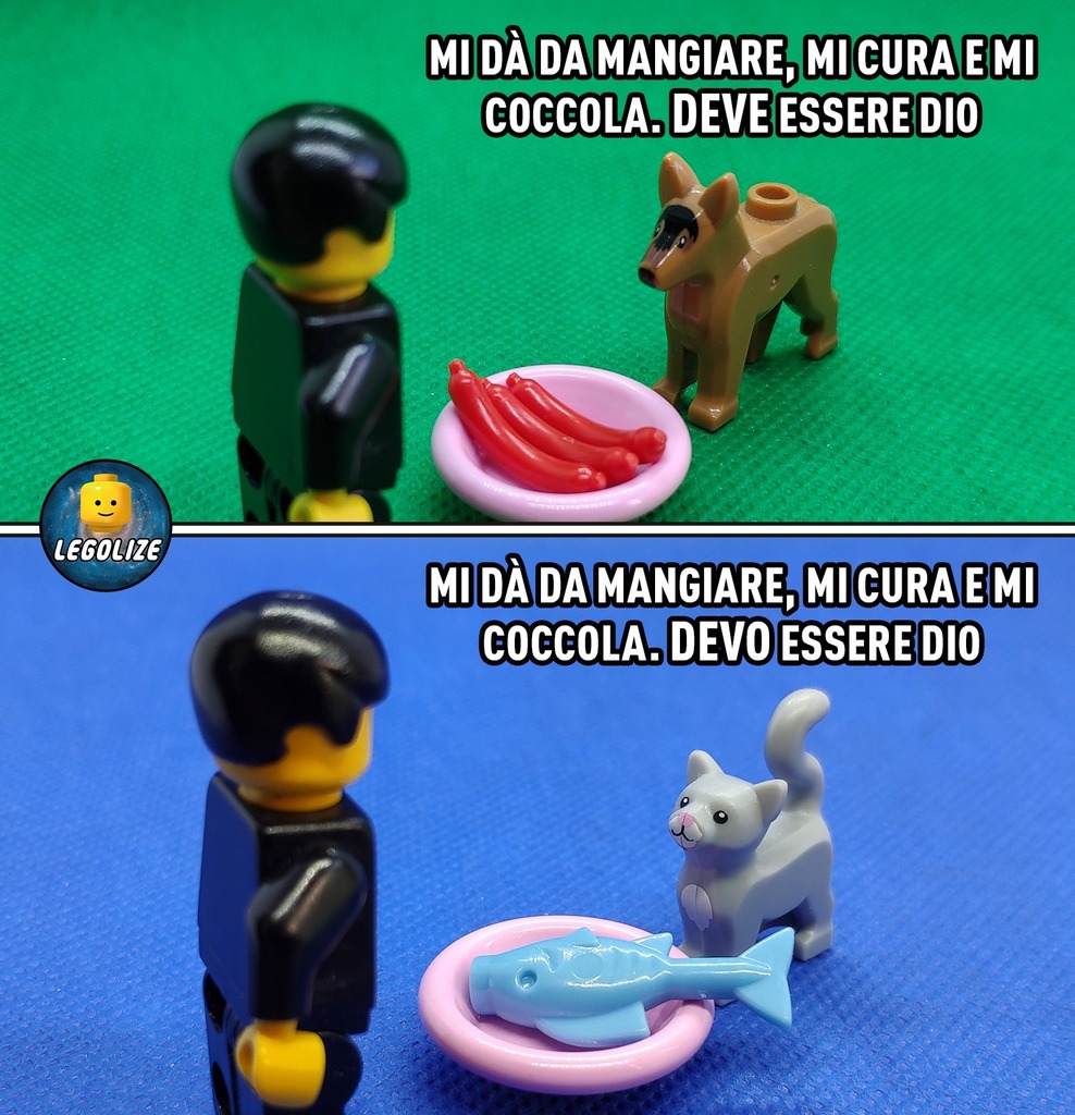 Ugolize's tweet image. Cane o gatto? Chi preferite? Motiva nei commenti