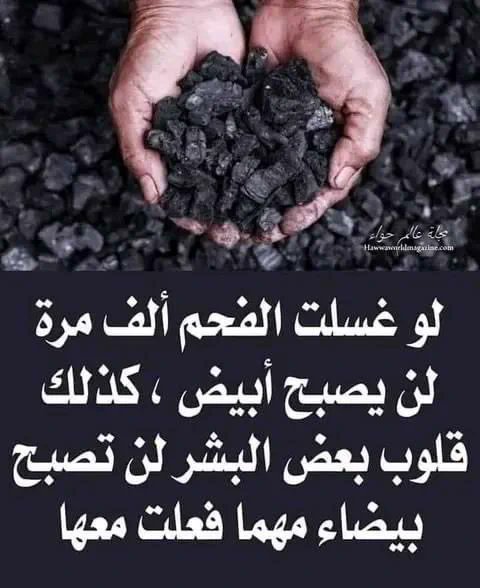 عبد الحميد النقي (@ah_alnaqi) on Twitter photo 