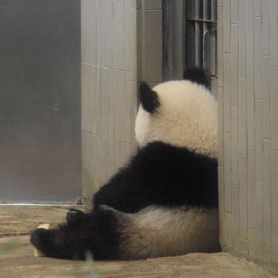 sfkkfs_'s tweet image. สภาพกูในวันศุกร์ที่เหนื่อยมาแล้วทั้งอาทิตย์ :