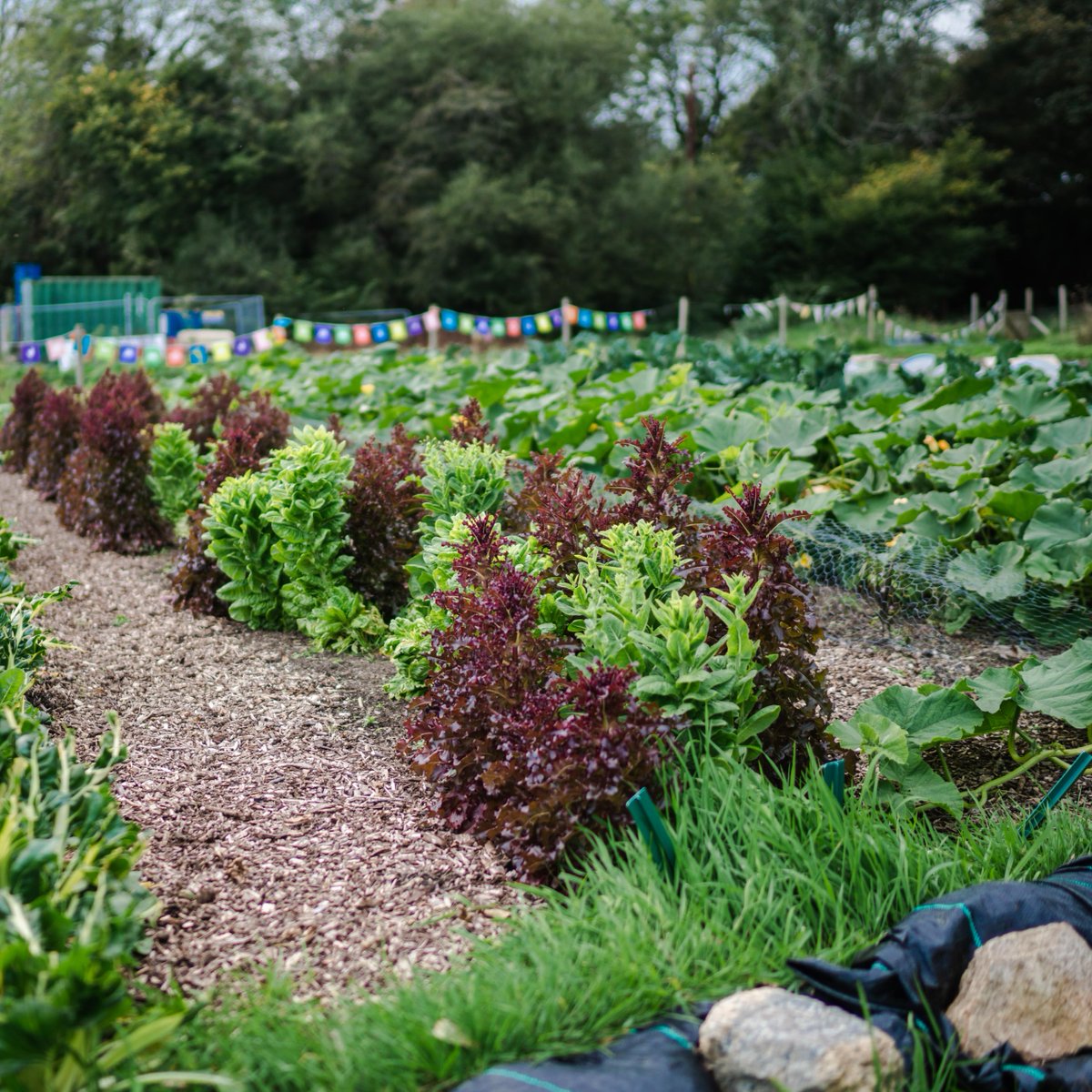 Did you know, we run nature based therapy sessions for military veterans? 🌿 Find out more 👉 bit.ly/3QMsI8H <a href="/VeteransFdn/">Veterans’ Foundation</a> <a href="/defencegardens1/">The Defence Gardens Scheme CIC</a>