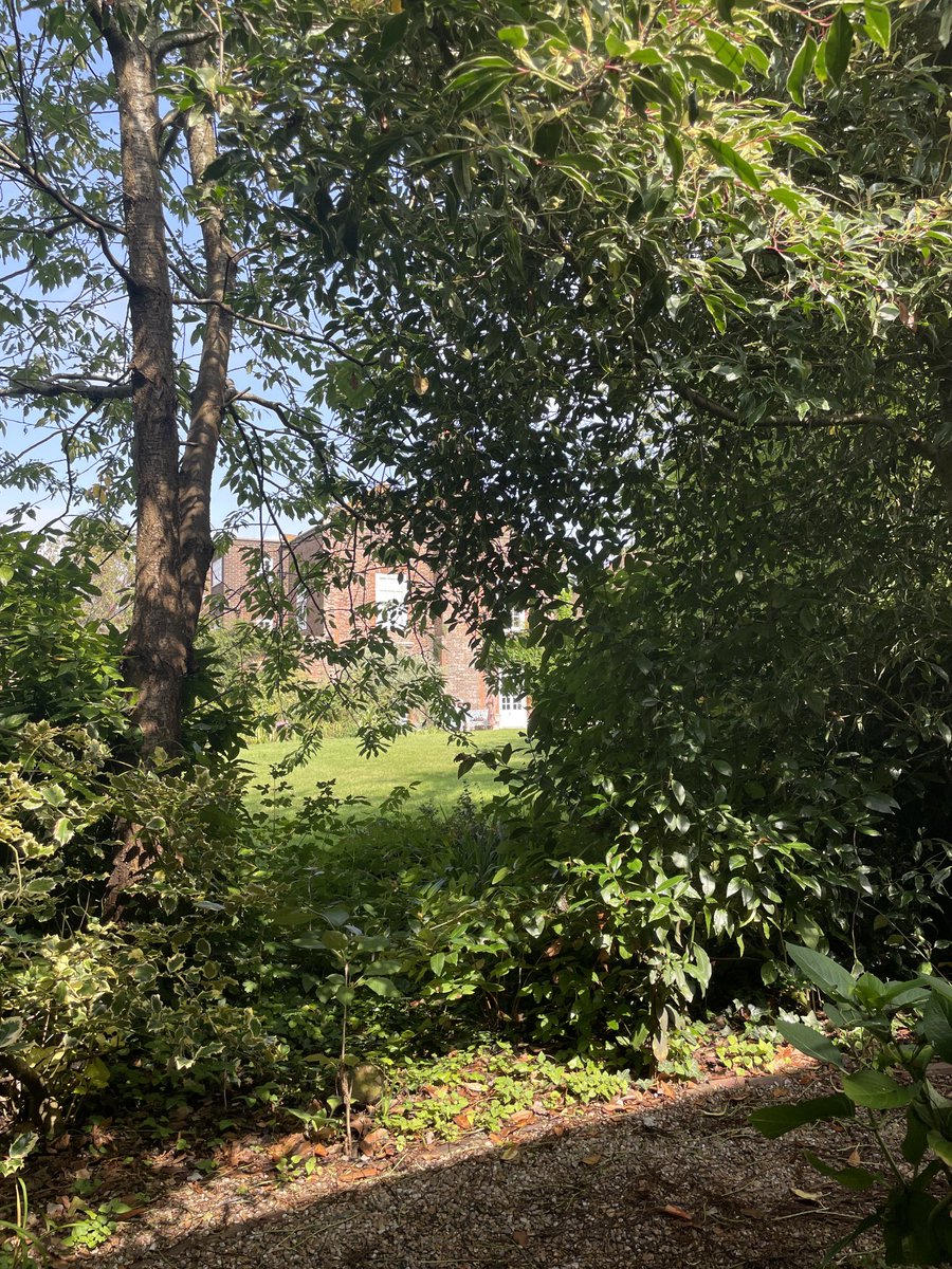marcusmillerart's tweet photo. A very special house peeping through the foliage of this splendid walled garden in Rye #HenryJames #RumerGodden #Rye https://t.co/WQnp33kmJl