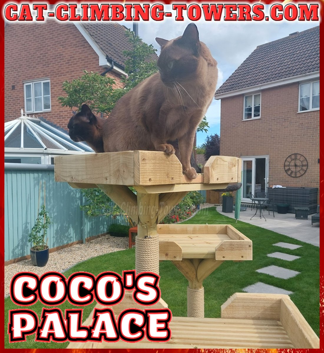 tclynx's tweet photo. When you ascend to the top of the 8ft tower, only to find your brother has beaten you to the top and posing for a selfie
#catframes #CatsOfTwitter #cats #cat #catenrichment #catquiz #catoftheday #cattoys #catsofinstagram #kittens #safecat #catenclosure #catmemes #moggie #advert https://t.co/5teOM6TLjQ