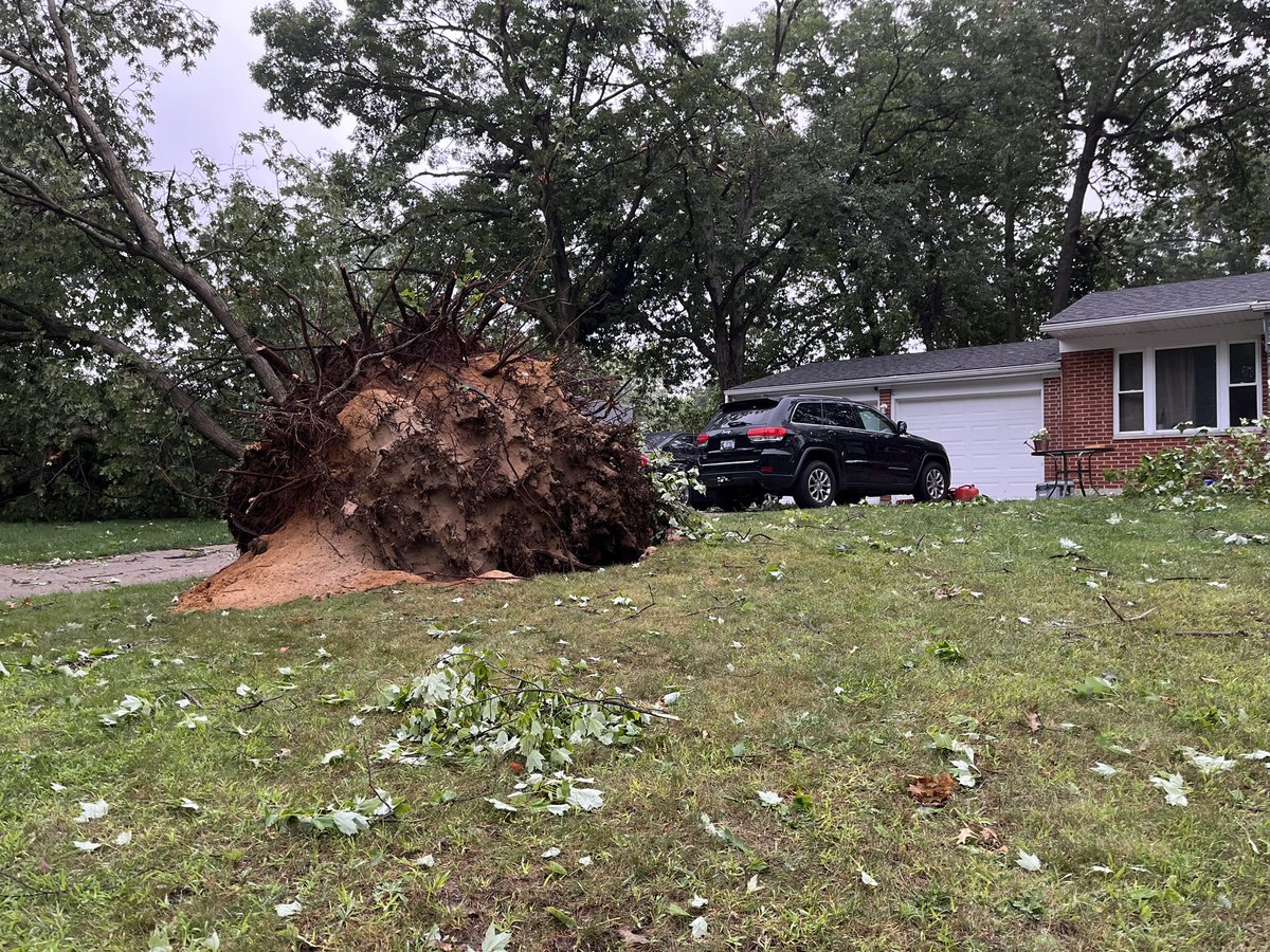 GeeInTheCity's tweet photo. Wow! Look at these trees that fell in Comstock Park. 
A woman who lives on Stony Creek Ave says her backyard looks like a jungle now. 3 trees fell on her roof, leaving all of this. 
Just around the corner this large tree uprooted from the ground - causing maybe a 5ft deep hole. https://t.co/7gnYzlqOMU