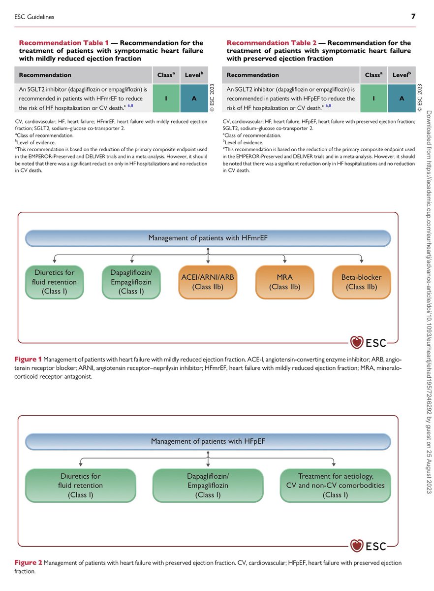 SGLT2i, the new Class I drugs por HFmrEF and HFpEF, new ESC HF Guidelines 2023