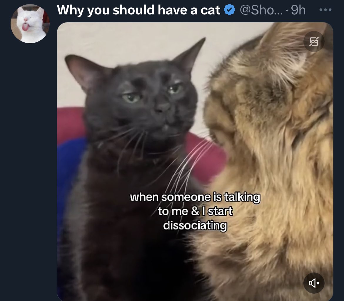 Your last saved selfie is who you are on the outside, and your last saved meme is who you are on the inside 

Yea, that’s accurate