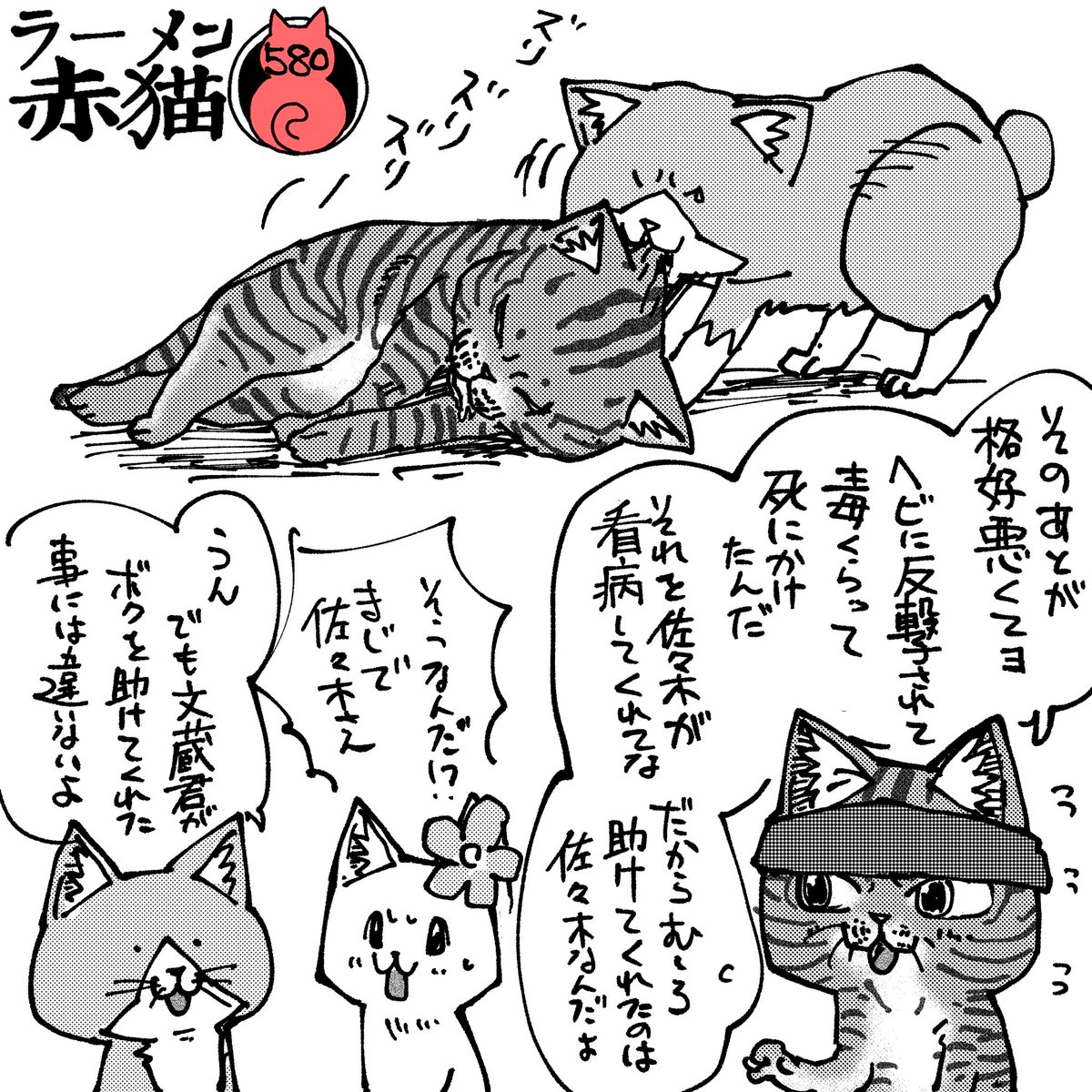 アンギャマン on X: アンギャマン on X: