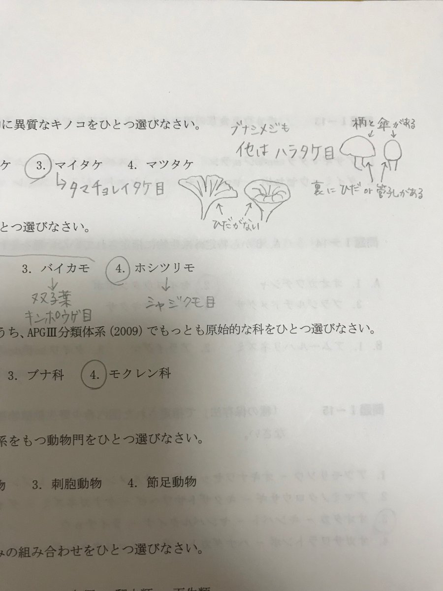 midipomato's tweet photo. チョレイってなんだ…？ https://t.co/yjYPx01w4j