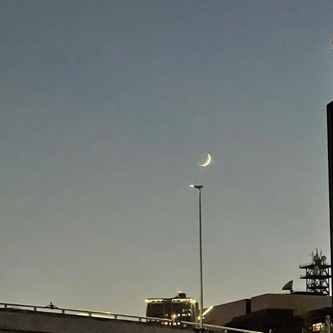 この前一緒に散歩してる時見えた月🌙 やっと金曜日だ〜皆さんも一週間お疲れ様でした。素敵な週末をお過ごしください☺️❤︎ https://t.co/hXIMeUj58B