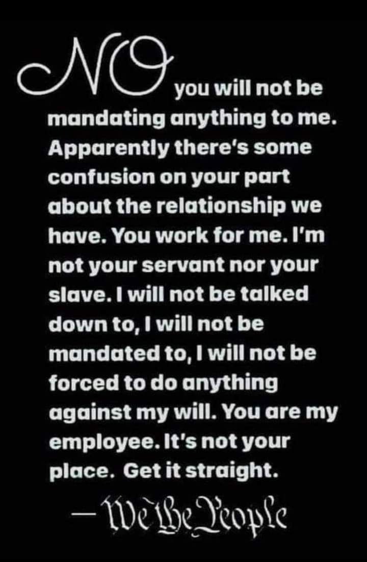 ABridgen's tweet image. I think some people need an urgent reminder of how the system was set up to work.