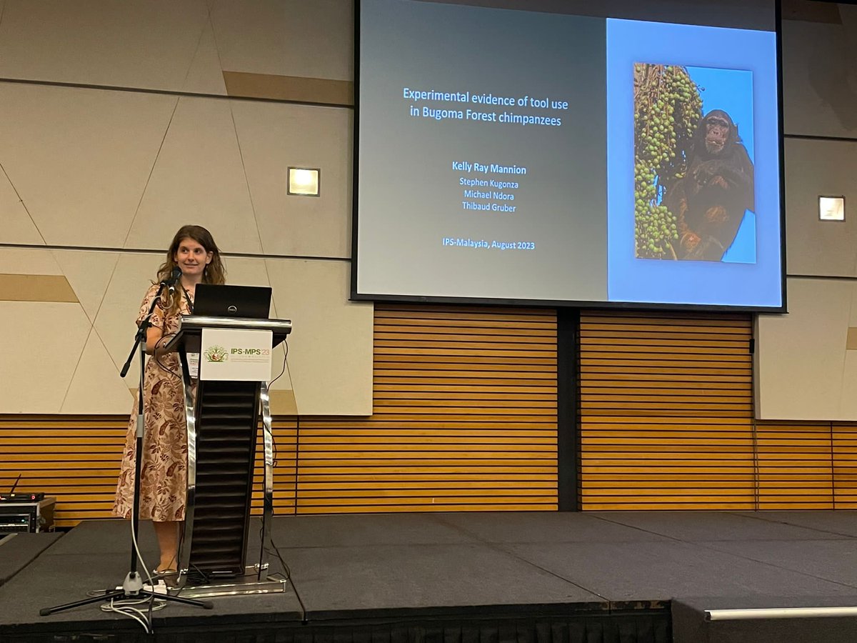 KellyRayMannion's tweet photo. So happy that I could attend #IPSKuching and present some findings on the @BugomaPrimates
tool use behaviors. Thank you for the wonderful experience! #IPS2023 
@primatesmsia @IPS_PrimateNews https://t.co/AVZTJrg8hO