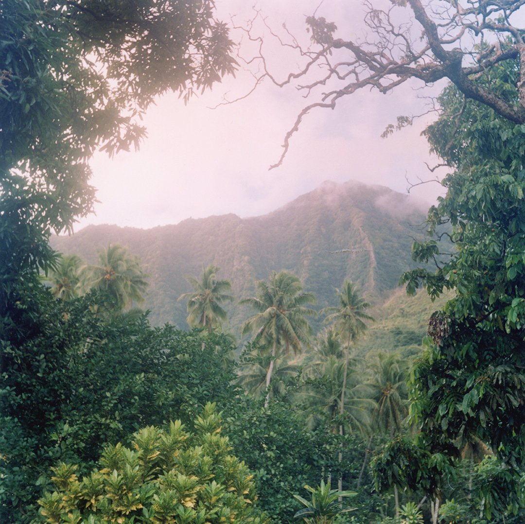 FineArtPointcom's tweet photo. ✨#Heaven in #NukuHiva , #Marquesas Islands, #FrenchPolynesia #PacificOcean 
#analogphotography #DarkroomPrint in #LimitedEdition
👉https://t.co/h1LCWKsFjS

#forsale #believeinfilm #filmisnotdead #6x6 #フィルム #fineart #artworks #artsale by @DecoorneG #edengardens #ParadiseFound https://t.co/PdthBFMXBt