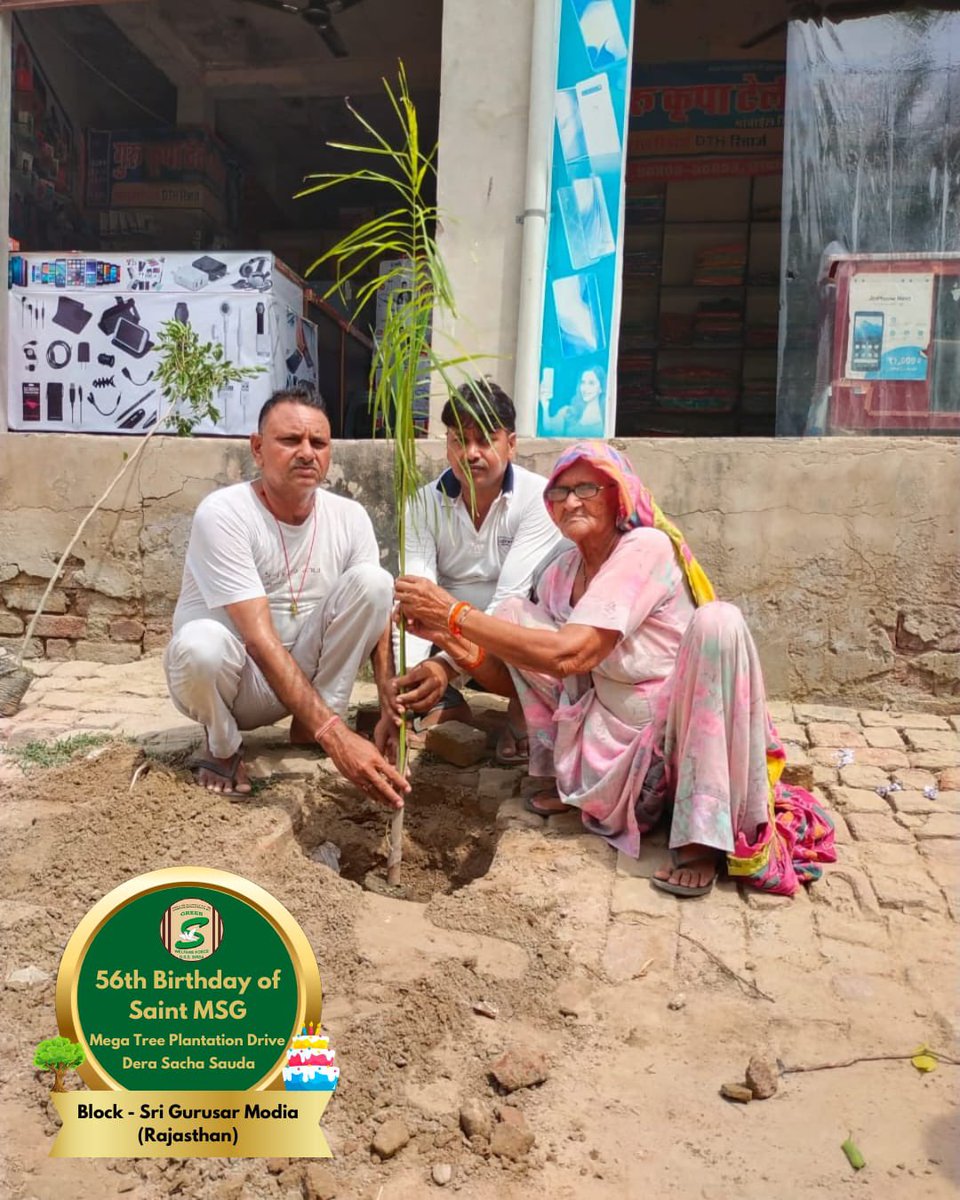 GreenSwelfares's tweet photo. Saplings of hope, love, and gratitude! Dera Sacha Sauda volunteers organised mega tree plantation drive to celebrate Saint Dr. Gurmeet Ram Rahim Singh Ji Insan's 56th birthday. A celebration that Mother Earth rejoices too. #56thBirthday #SaintDrMSG #DeraSachaSauda #TreePlantation #MSGBhandara