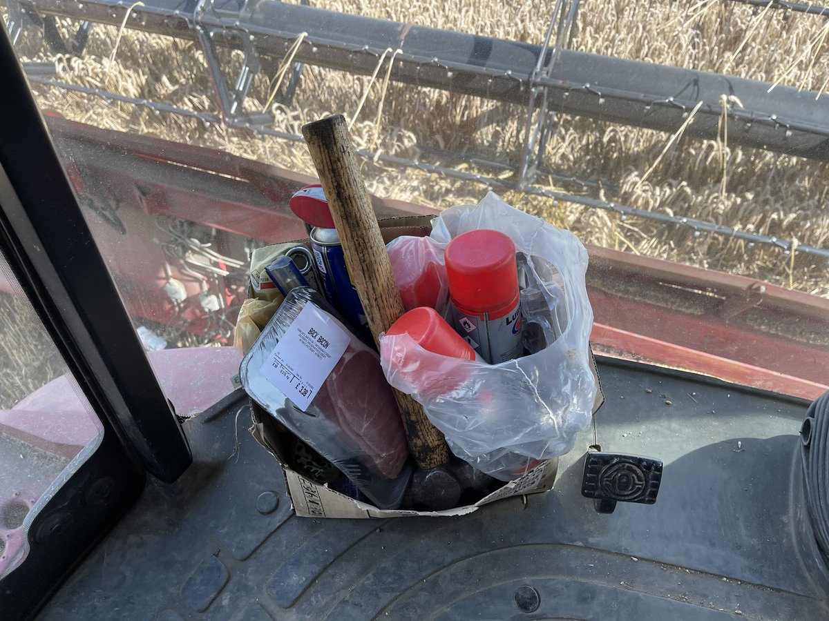 David Park tweet media