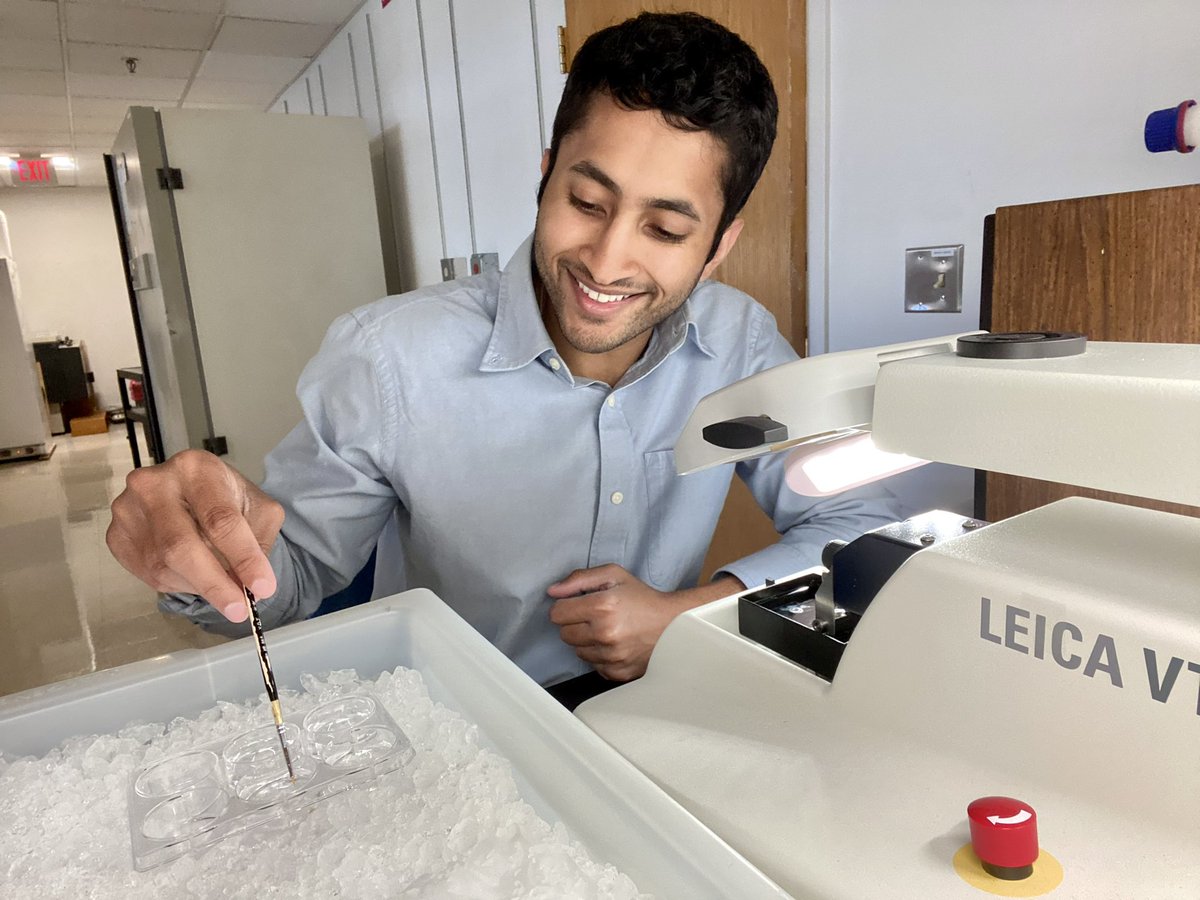 Nabeel Rasheed tweet media