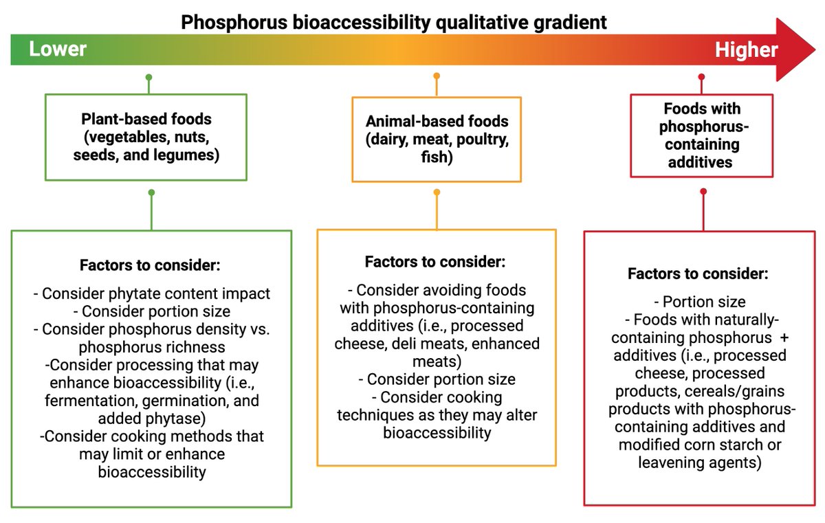 I have been fortunate to be part of a series of papers to celebrate the 45th anniversary of the <a href="/ISRNM_Social/">Int'l Society of Renal Nutrition and Metabolism</a>. Really excited about the next one on the evolution of dietary phosphorus management in CKD (6 out of the 7 authors were registered dietitians!) jrnjournal.org/article/S1051-…
.