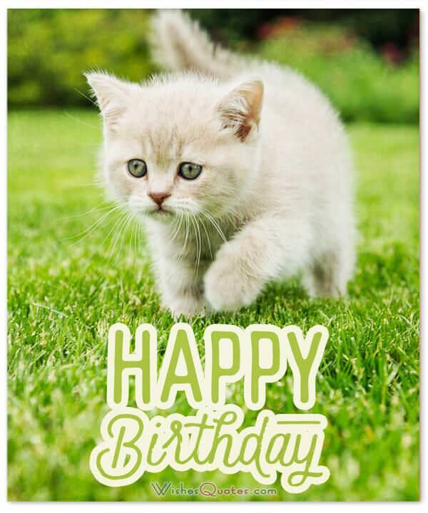 Wishes_Quotes's tweet photo. The Ultimate Guide For Amazing Birthday Wishes For Friends
 
https://t.co/WDgQiCcjQD

#WishesQuotes #BirthdayFriend #Friend #HappyBirthday #birthday #birthdaywishes #birthdayboy #birthdayquotes https://t.co/yHd2nX6B3r